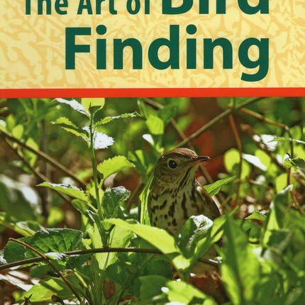 Art of Bird Finding