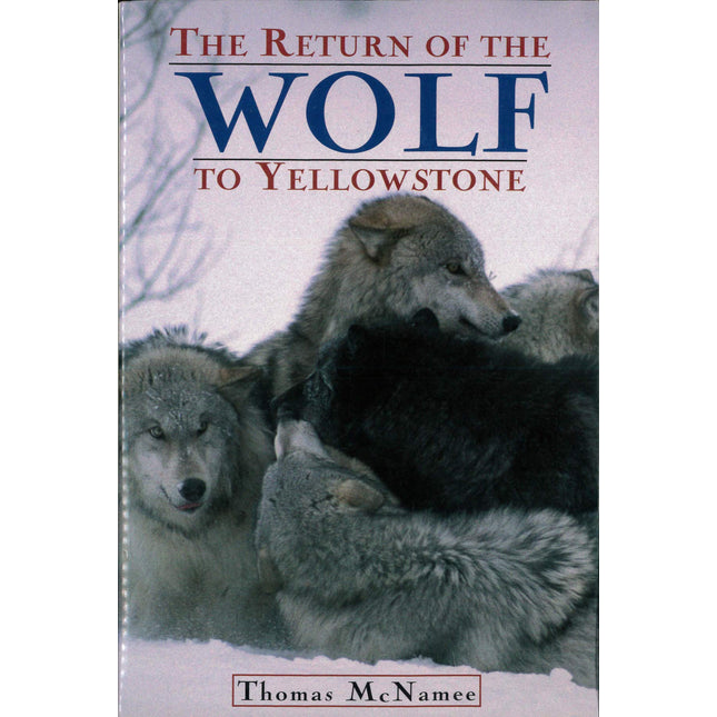 The Return of the Wolf to Yellowstone