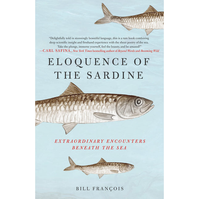 Eloquence of the Sardine: Extraordinary Encounters Beneath the Sea