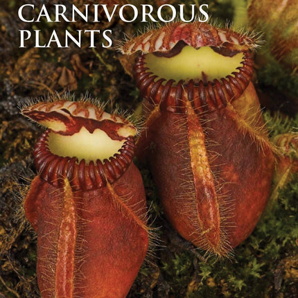 Growing Carnivorous Plants