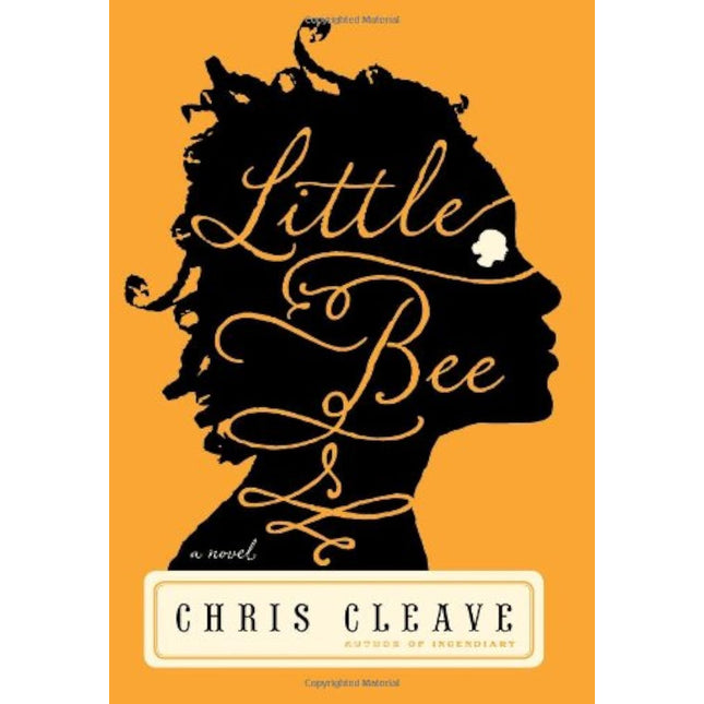 Little Bee: A Novel