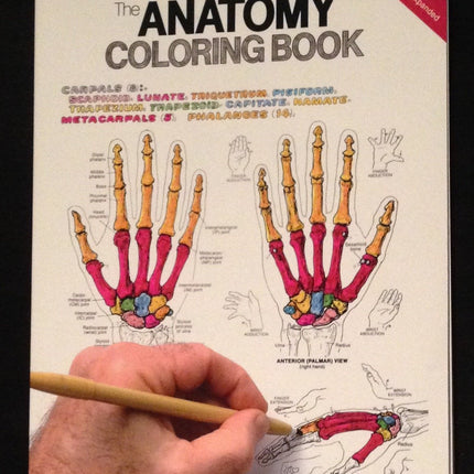 The Anatomy Coloring Book