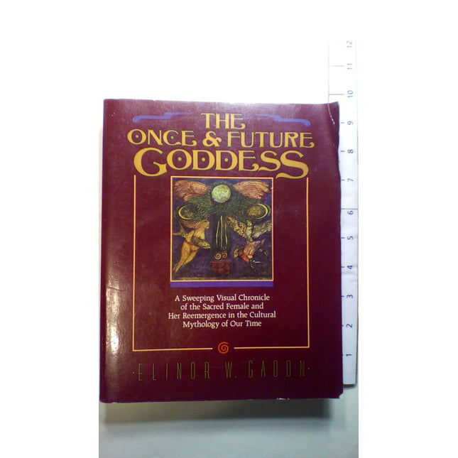 The Once and Future Goddess: A Sweeping Visual Chronicle of the Sacred Female and Her Reemergence in the Cult