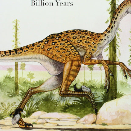 Evolution: The First Four Billion Years