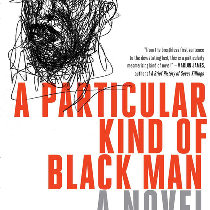 A Particular Kind of Black Man: A Novel