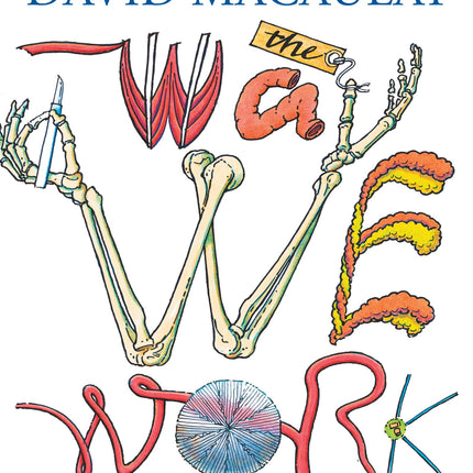 The Way We Work: Getting to Know the Amazing Human Body