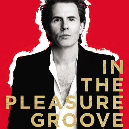 In The Pleasure Groove: Love, Death & Duran Duran