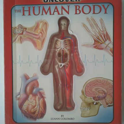 Uncover the Human Body: Take a Three-Dimensional Look Inside the Human Body!