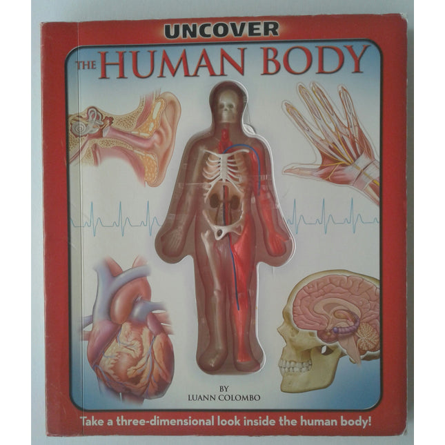 Uncover the Human Body: Take a Three-Dimensional Look Inside the Human Body!