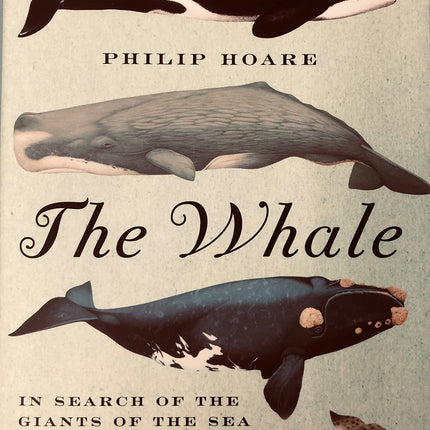 The Whale: In Search of the Giants of the Sea
