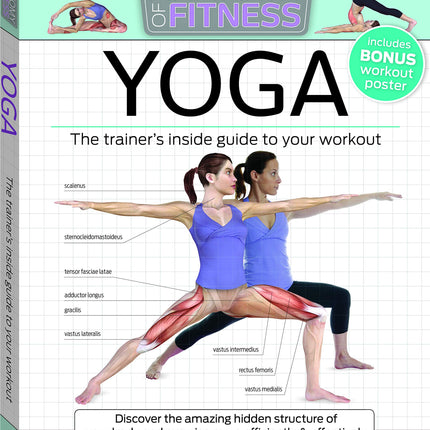 Anatomy of Fitness: Yoga