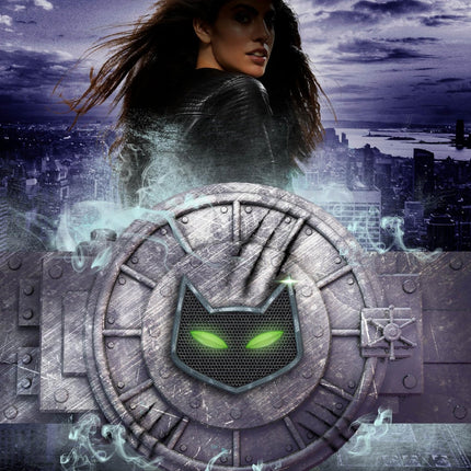 Catwoman: Soulstealer (DC Icons Series)