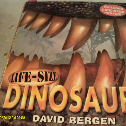 Life-Size Dinosaurs (Life-Size Series)