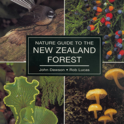 Nature Guide to the New Zealand Forest