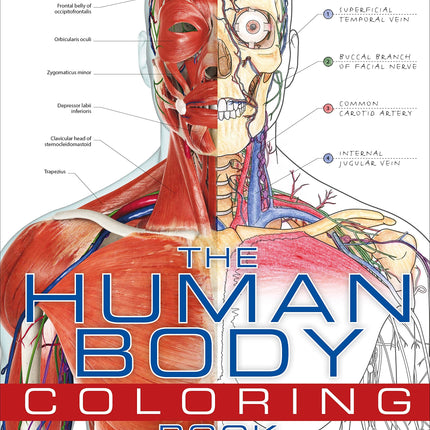The Human Body Coloring Book: The Ultimate Anatomy Study Guide (DK Human Body Guides)