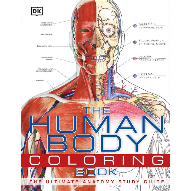 The Human Body Coloring Book: The Ultimate Anatomy Study Guide (DK Human Body Guides)