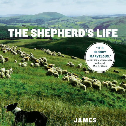 The Shepherd's Life: Modern Dispatches from an Ancient Landscape
