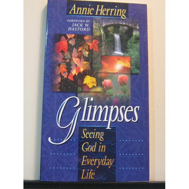 Glimpses: Seeing God in Everyday Life