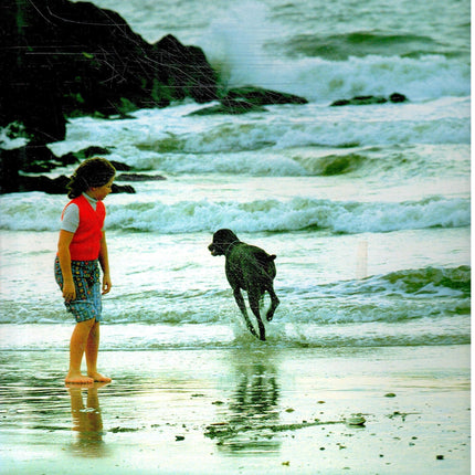 Long Island: People and Places: Past and Present