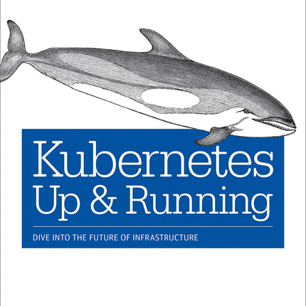 Kubernetes: Up and Running: Dive into the Future of Infrastructure