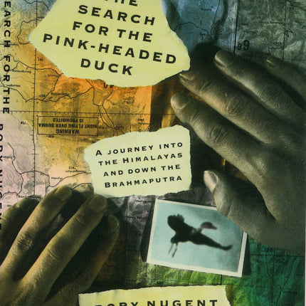 The Search for the Pink-Headed Duck