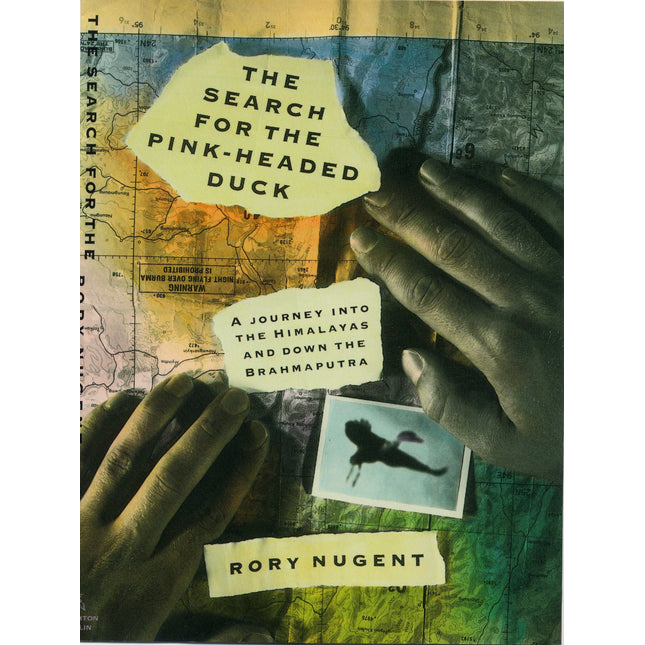 The Search for the Pink-Headed Duck
