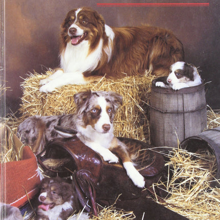 All About Aussies : The Australian Shepherd from A to Z
