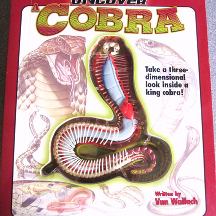 Uncover a Cobra: Take a three-dimensional look inside a king cobra! (Uncover Books)